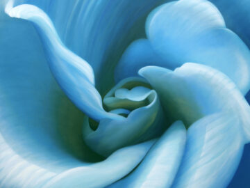 Dynamism 4