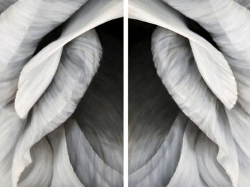 Untitled No. 30, diptych (vertical view)