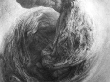 Umbilical