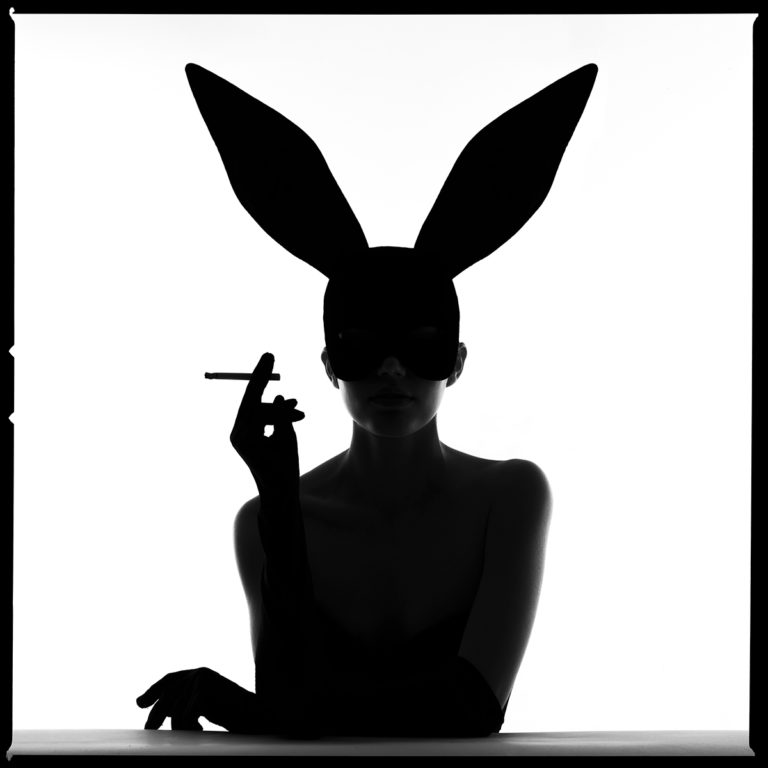 Bunny Silhouette iii