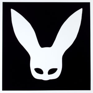 Bunny Photogram