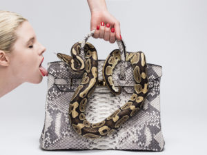 Python Birkin I