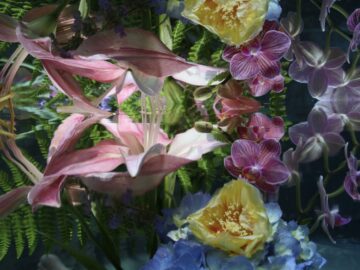Submerged Garden 4829