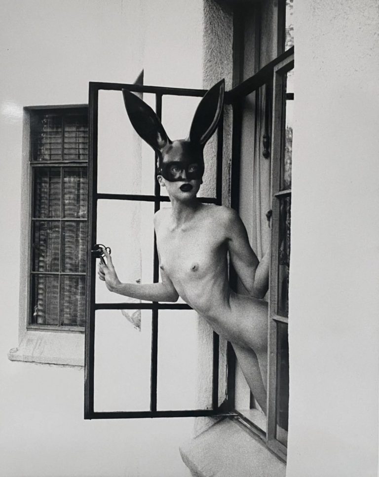 The Bunny In The Window