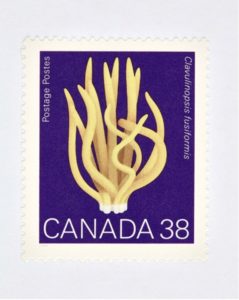 Canada 38 Mushroom Stamp (Purple)