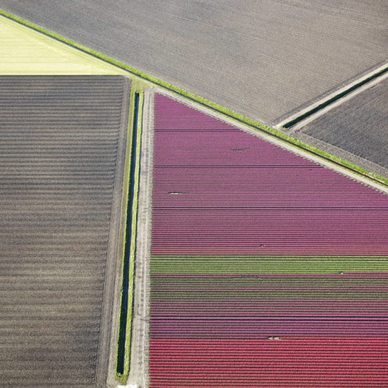 Veld 24, Noordoostpolder, Flevoland, The Netherlands