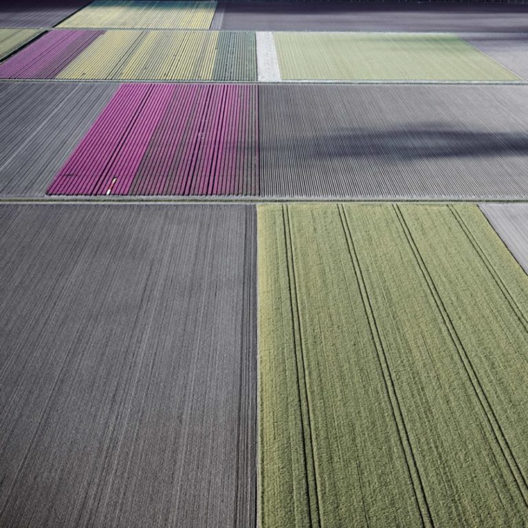 Veld 25, Noordoostpolder, Flevoland, The Netherlands