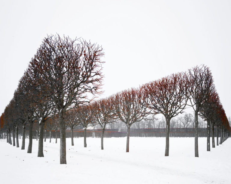 Winter Red, Catherine Palace, Pushkin, Russia