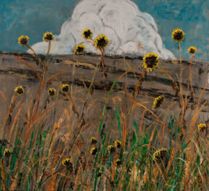 Untitled Sunflower