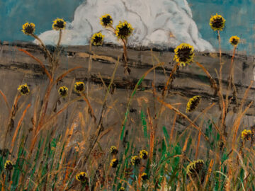 Untitled Sunflower