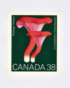 Canada 38 Mushroom Stamp (Green)