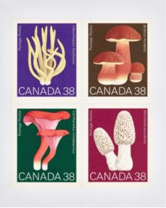Canada Mushroom 38 x 4