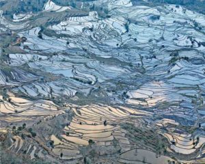 Rice Terraces (Laohuzui I), Yunnan, China, 2013