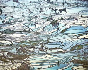 Rice Terraces (Laohuzui II), Yunnan, China, 2013