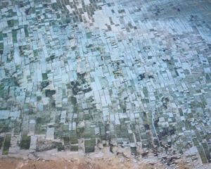 Seaweed Farms II, Bali, Indonesia, 2014