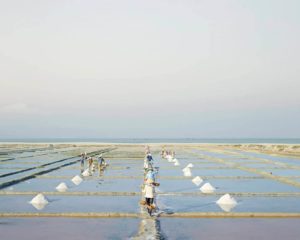 Salt Farms, Nha Trang, Vietnam, 2014