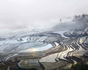 Rice Terraces (Duoyishu), Yunnan, China, 2013