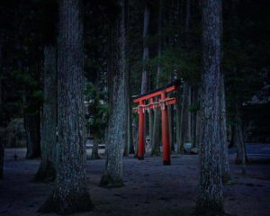 Torii Gate, Koyasan, Japan, 2012