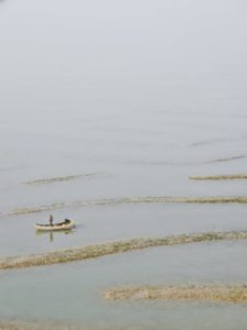 Tiger Stripes, China, 2017