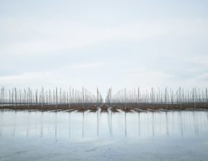 Tokoname II Aichi Prefecture, Japan, 2017