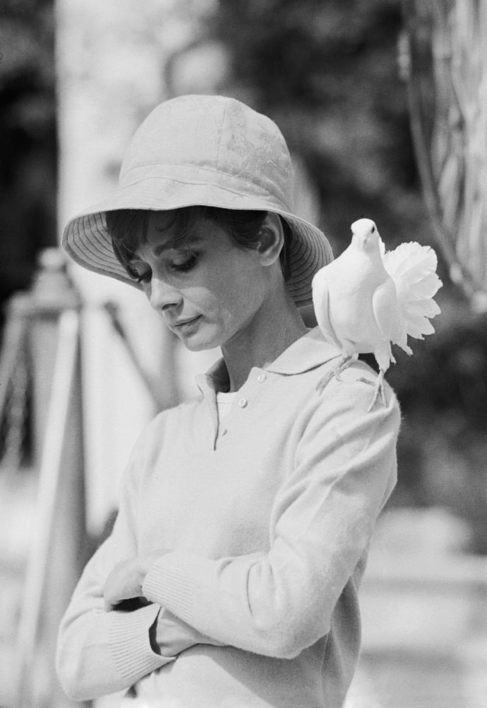 Audrey Hepburn with Dove