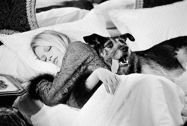 Bardot with Dog, on set of Les Novices