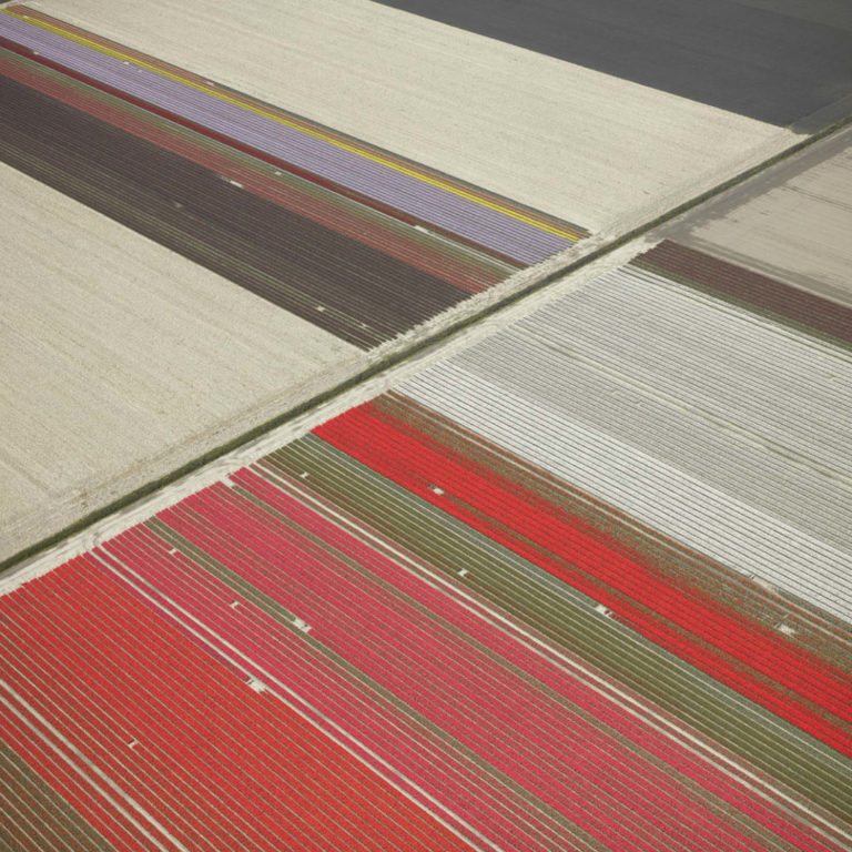 Veld 23, Noordoostpolder, Flevoland, The Netherlands