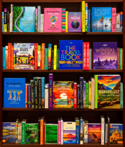 Travel Bookscape I (Brown)