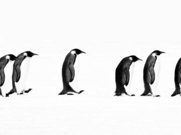 The Long March