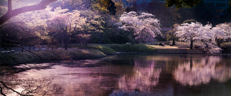 Pink Hour