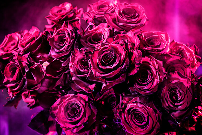 Pink Love