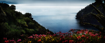 Portofino Flowers