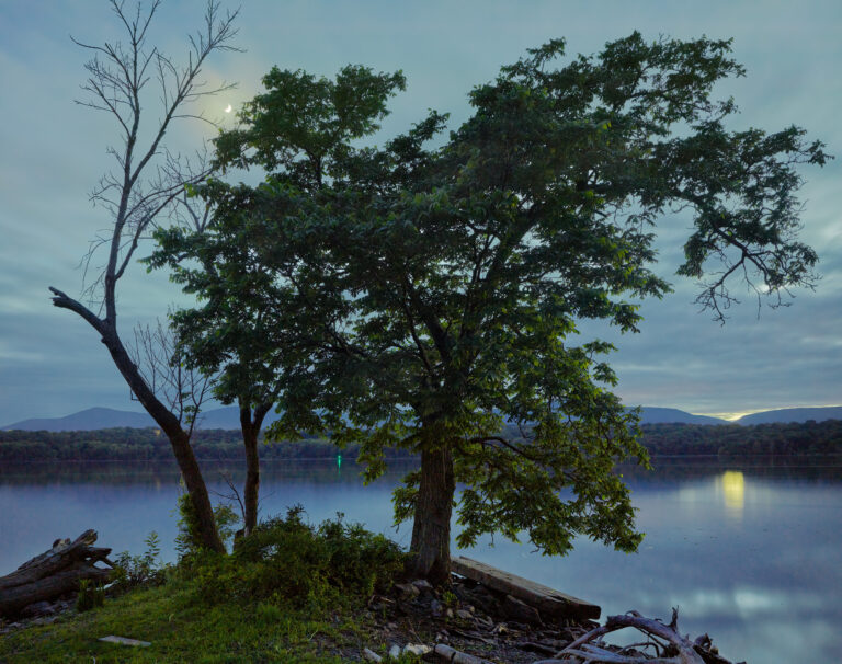 Midwood Landing