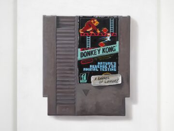 Donkey Kong: Nature's Revenge - NES