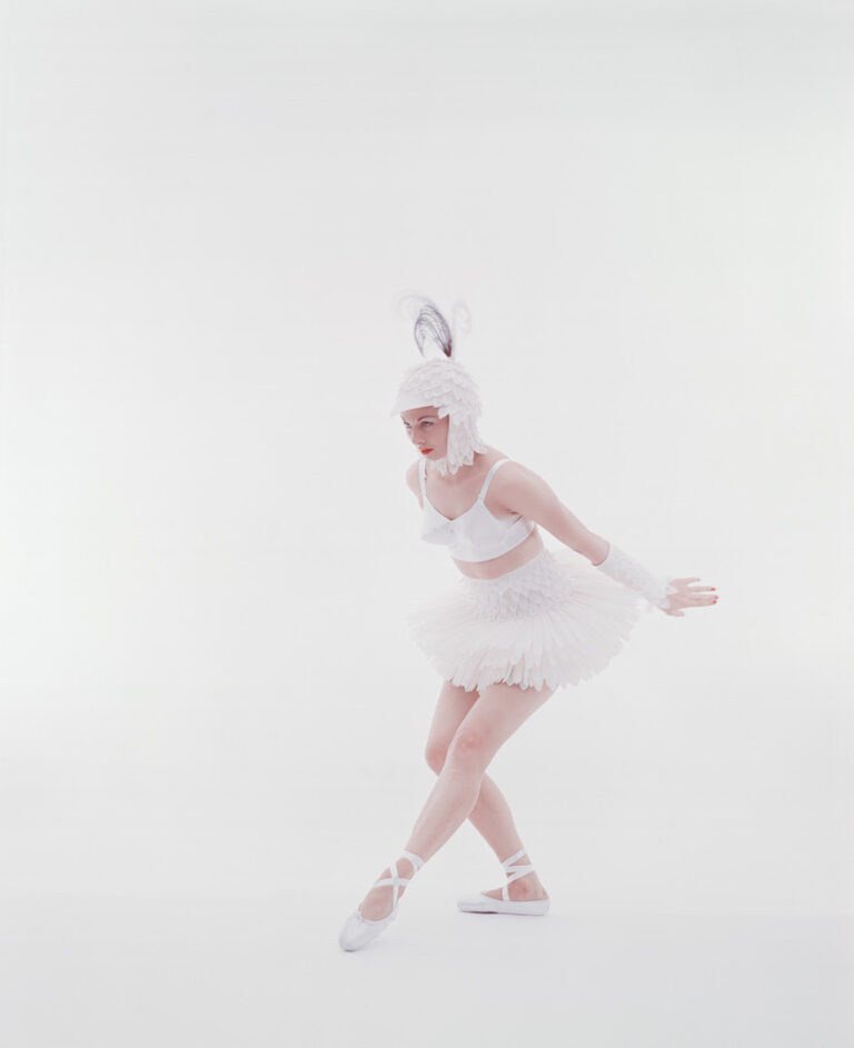 Lingerie - Chicken Ballerina My Maidenform