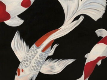 Fantail Koi 1