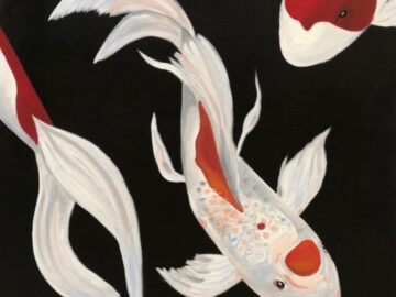 Fantail Koi 2