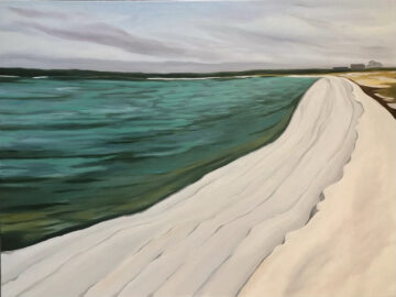 Ice shelves on Sammy's Beach