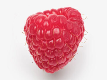 Raspberry