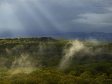 Rain Sprites, Clinton