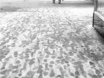 Footsteps in the Snow