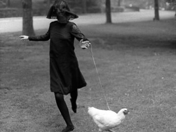 Peggy Moffitt, Chicken