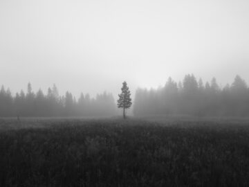 Stand Tall