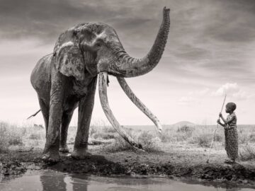 The Boy and the Gentle Giant