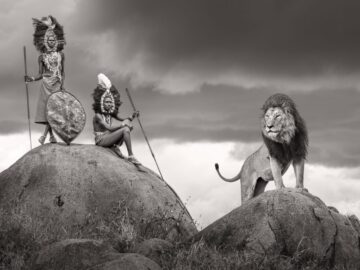 The Warriors
