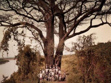 XIV 381 // XIV Ethiopia