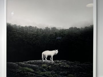 Walk With Me Wolf (Framed)
