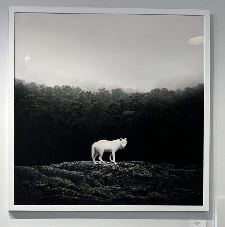 Walk With Me Wolf (Framed)