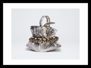 Python Birkin II (Framed)