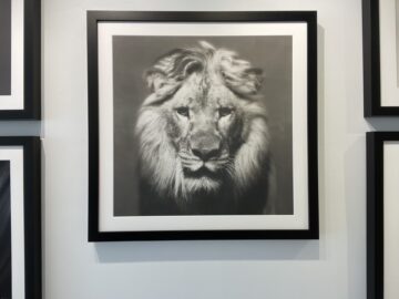 The Lion King (Framed)